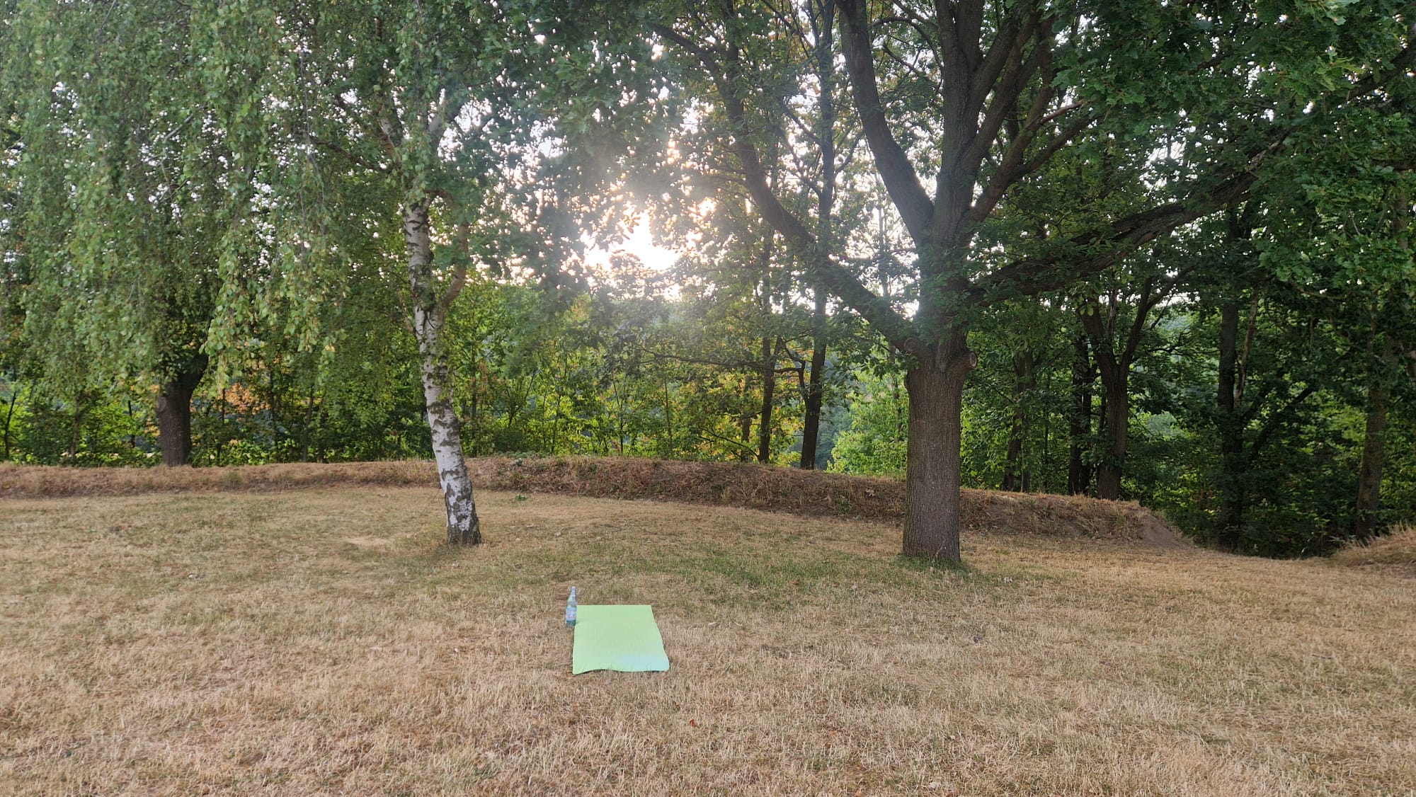 Natur Yoga